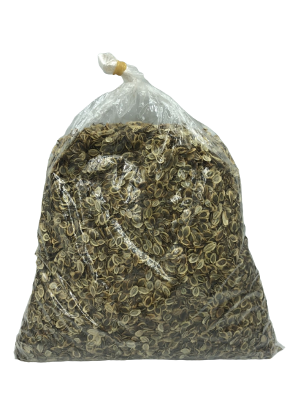 ขายมะแหลบแท้ 🌿 เครื่องเทศหายากภาคเหนือ 500g | เกรด A คุณภาพพรีเมียม ส่งทั่วไทย มะแหลบ เกรด A ขนาด 500 กรัม เทียนตั๊กแตน มะแหลบเครื่องเทศหายาก เครื่องเทศภาคเหนือ เมล็ดใช้เป็นเครื่องเทศแต่งกลิ่นอาหาร ชาวล้านนานำมาเป็นส่วนผสมของน้ำพริกลาบ