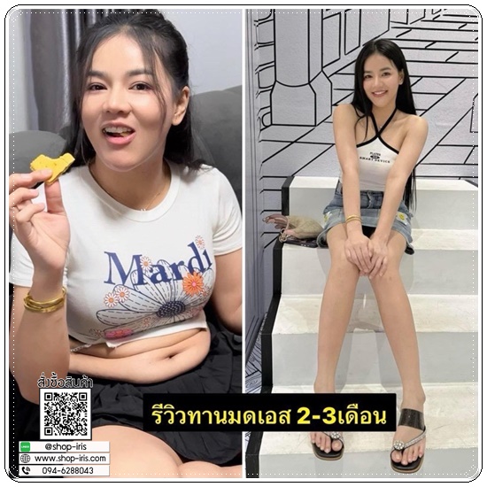 มดเอส Mod S