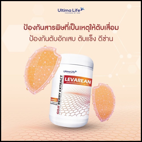 LEVAREAN By Ultima Life เลวารีน ตัวช่วยบำรุงตับ (โปรส่งฟรี)