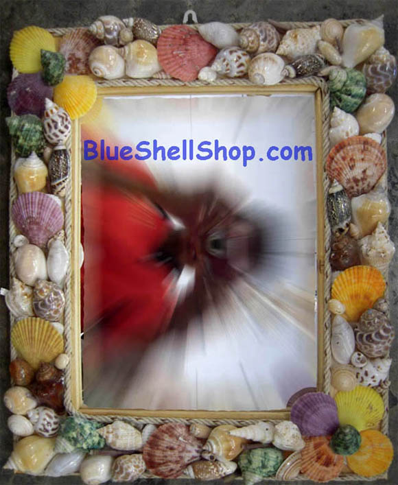 กระจกหอยไซต์6สี่เหลี่ยม