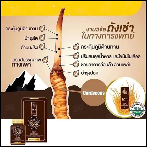 ถั่งเช่า ผสมมัลติวิตามินบี ถั่งเช่ายิ่งยง ของแท้