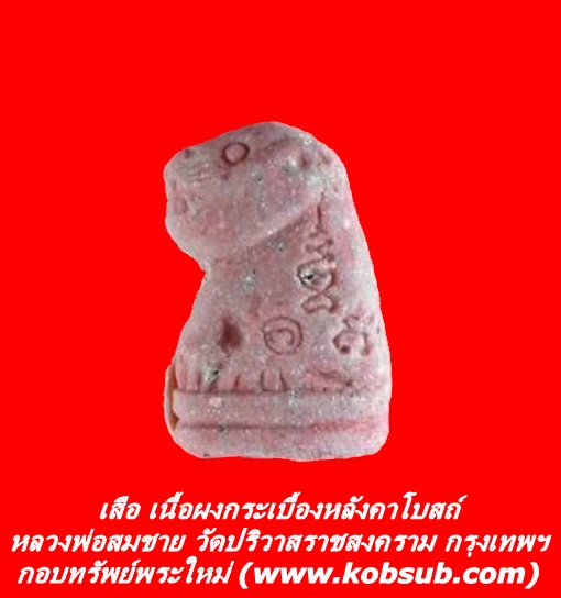 เสือ เนื้อผงกระเบื้องหลังคาโบสถ์ รุ่นแรก หลวงพ่อสมชาย วัดปริวาสฯ