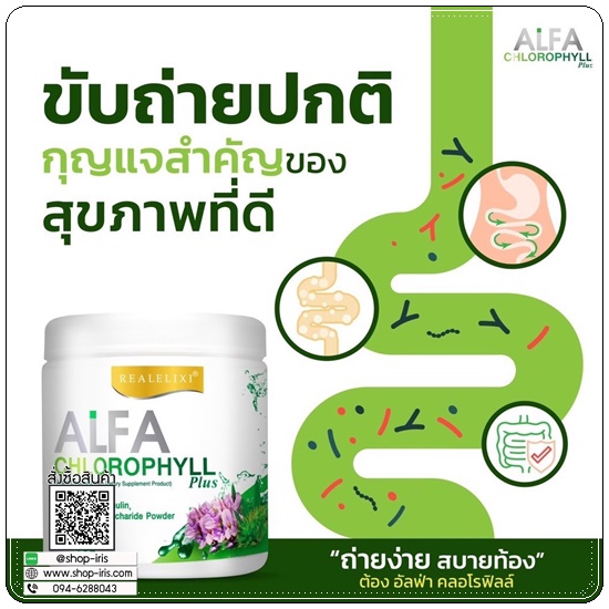 อัลฟาฟ่า คลอโรฟิลล์ Alfa Chlorophyll Plus Fiber