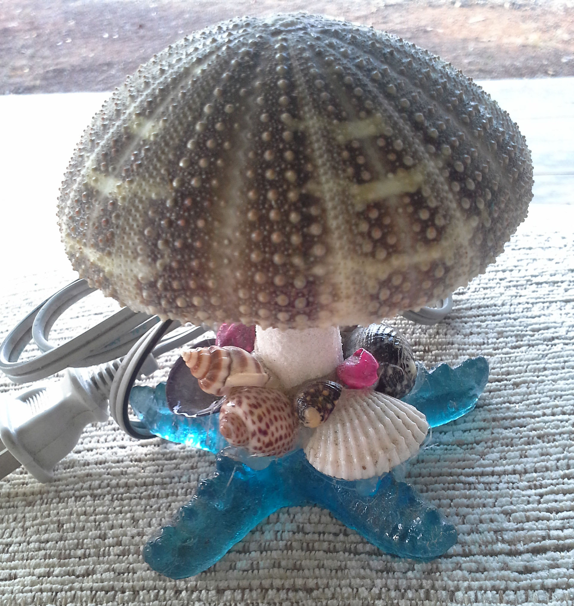 โคมไฟหอยเม่น ฐานปลาดาว ส่งฟรี