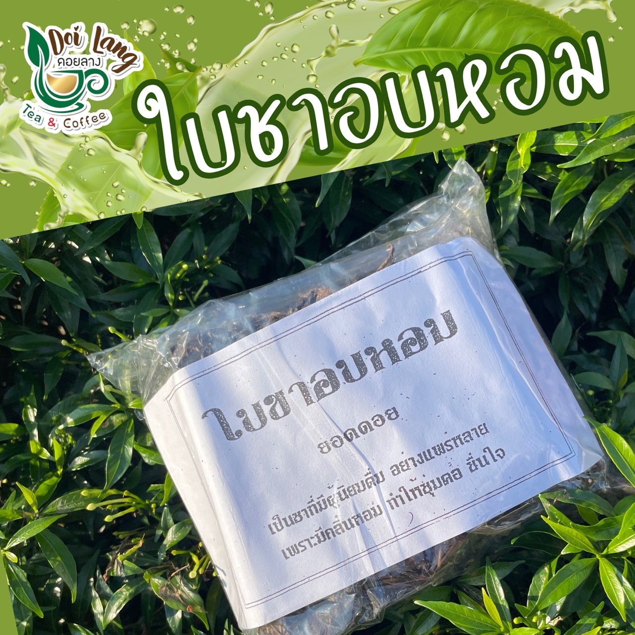 ใบชาอบหอม ใบชาอัสสัม ขนาด 100 กรัม ชาป่า ชาแห้ง ลดความดันโลหิตสูง ทำให้กระปรี้กระเปร่า ต่อต้านอนุมูลอิสระ ป้องกันฟันผุ ผ่อนคลายระบบประสาท