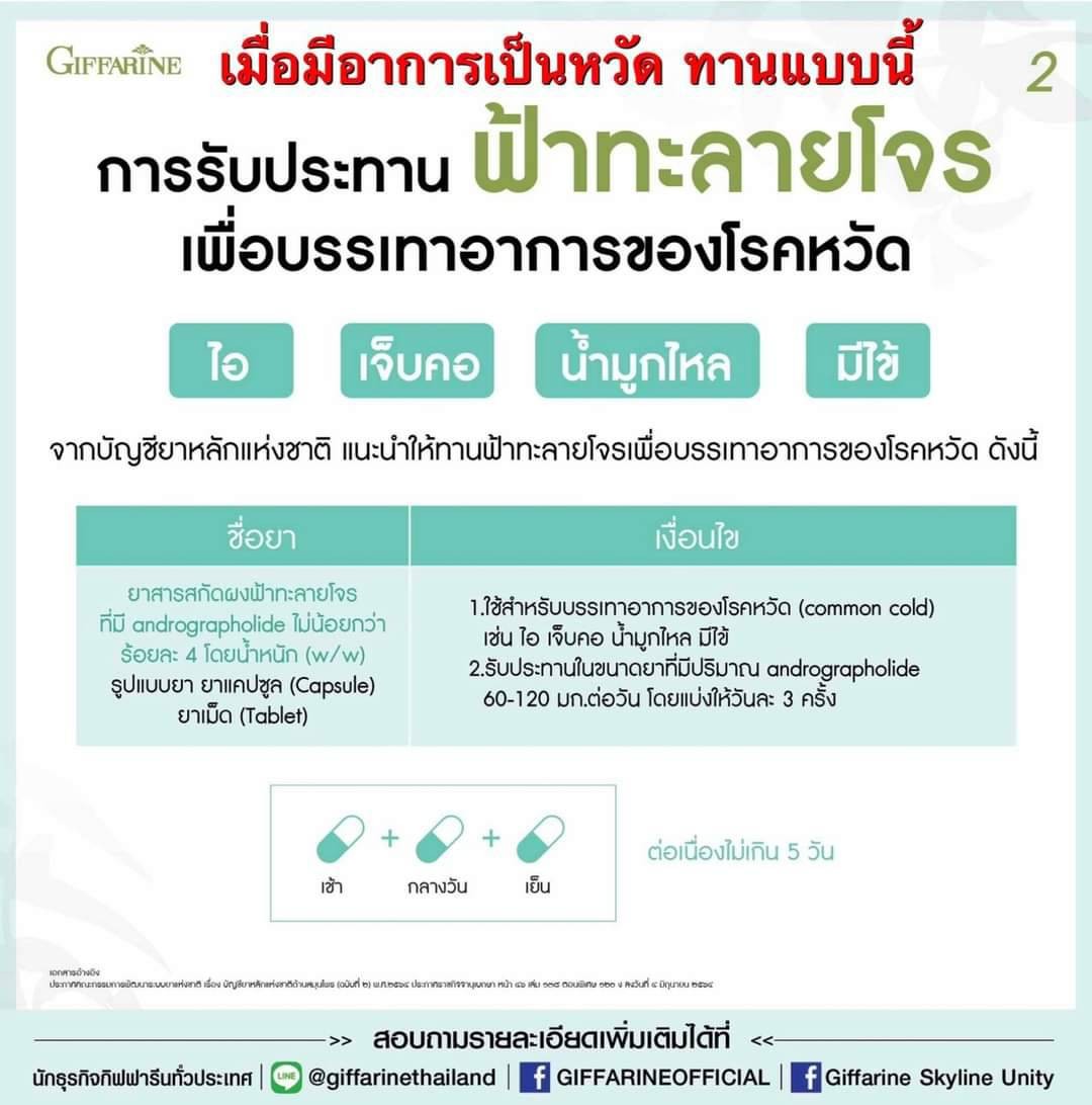 กิฟฟารีน ฟ้าทะลายโจร ฟ้าทะลายโจรสกัด กิฟฟารีน เลขทะเบียนยาG798/59
