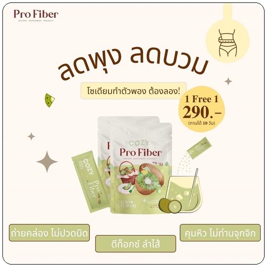 โคซี่ไฟเบอร์ Cozy Pro Fiber (1แถม1)