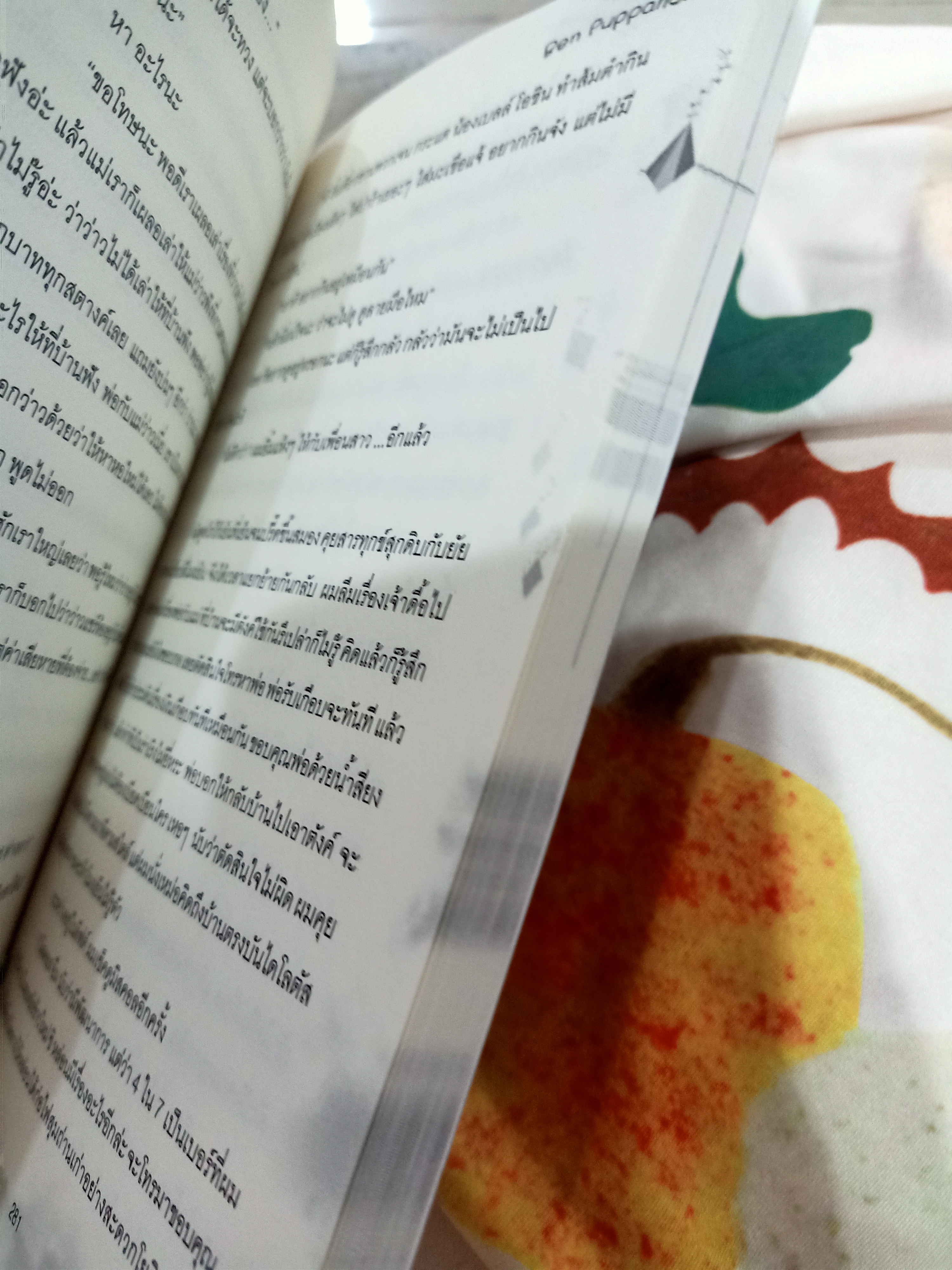 นิยายแต่ง หนุ่มโชคร้ายกับนายแชมป์ว่าว