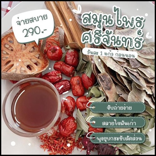 สมุนไพรศรีจันทร์ Dry Herbal Drink สมุนไพรดีท็อกซ์ลดพุง