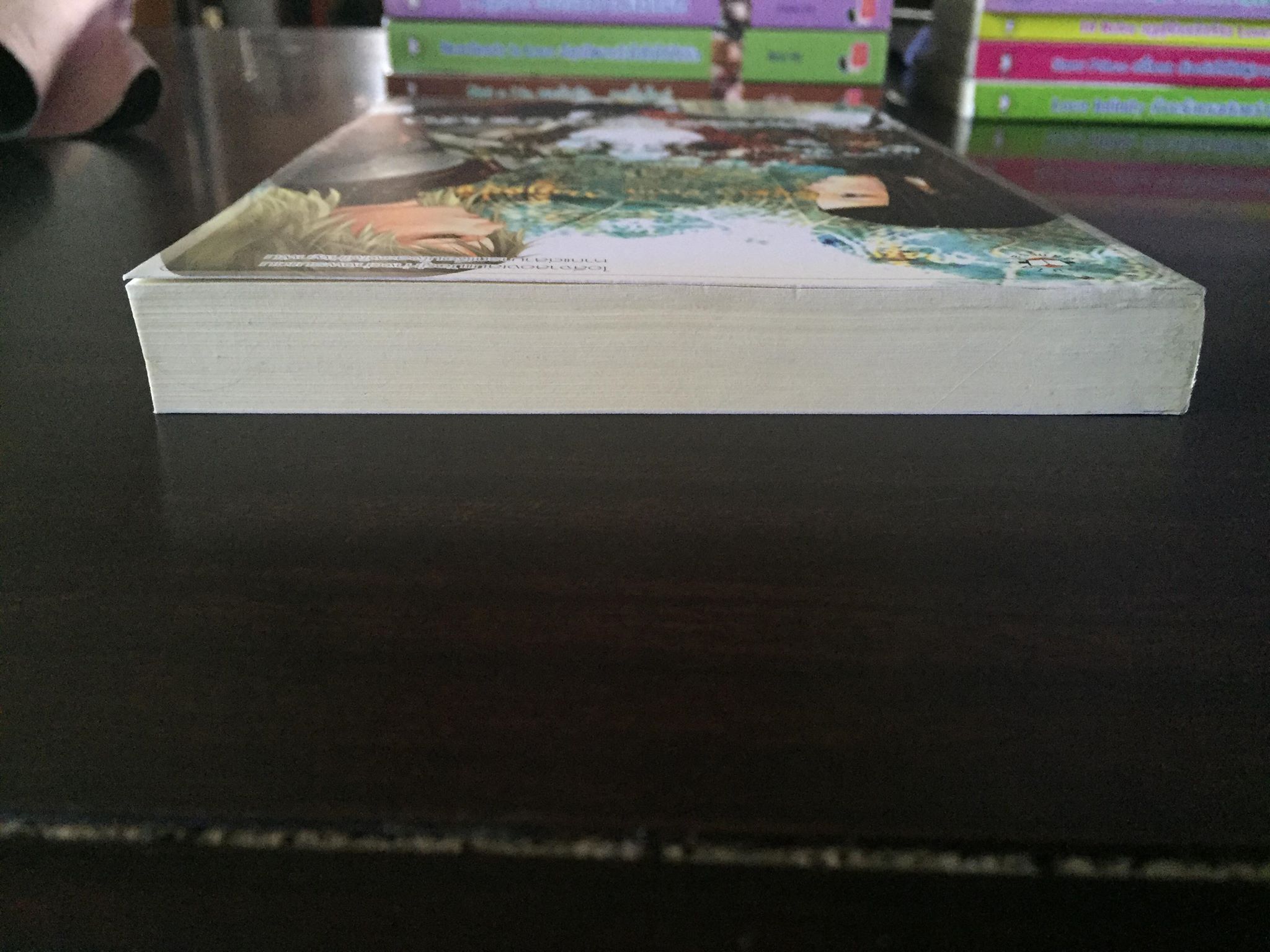 ไอลีจา...พันธสัญญาแห่งใจ