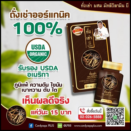 ถั่งเช่า ผสมมัลติวิตามินบี ถั่งเช่ายิ่งยง ของแท้