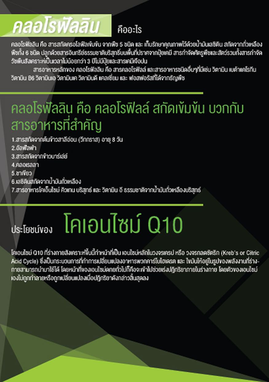 คลอโรฟิลลิน ผักเม็ดสำหรับคนไม่ชอบกินผัก (Chorofyllin Alfalfa Wheatgrass)