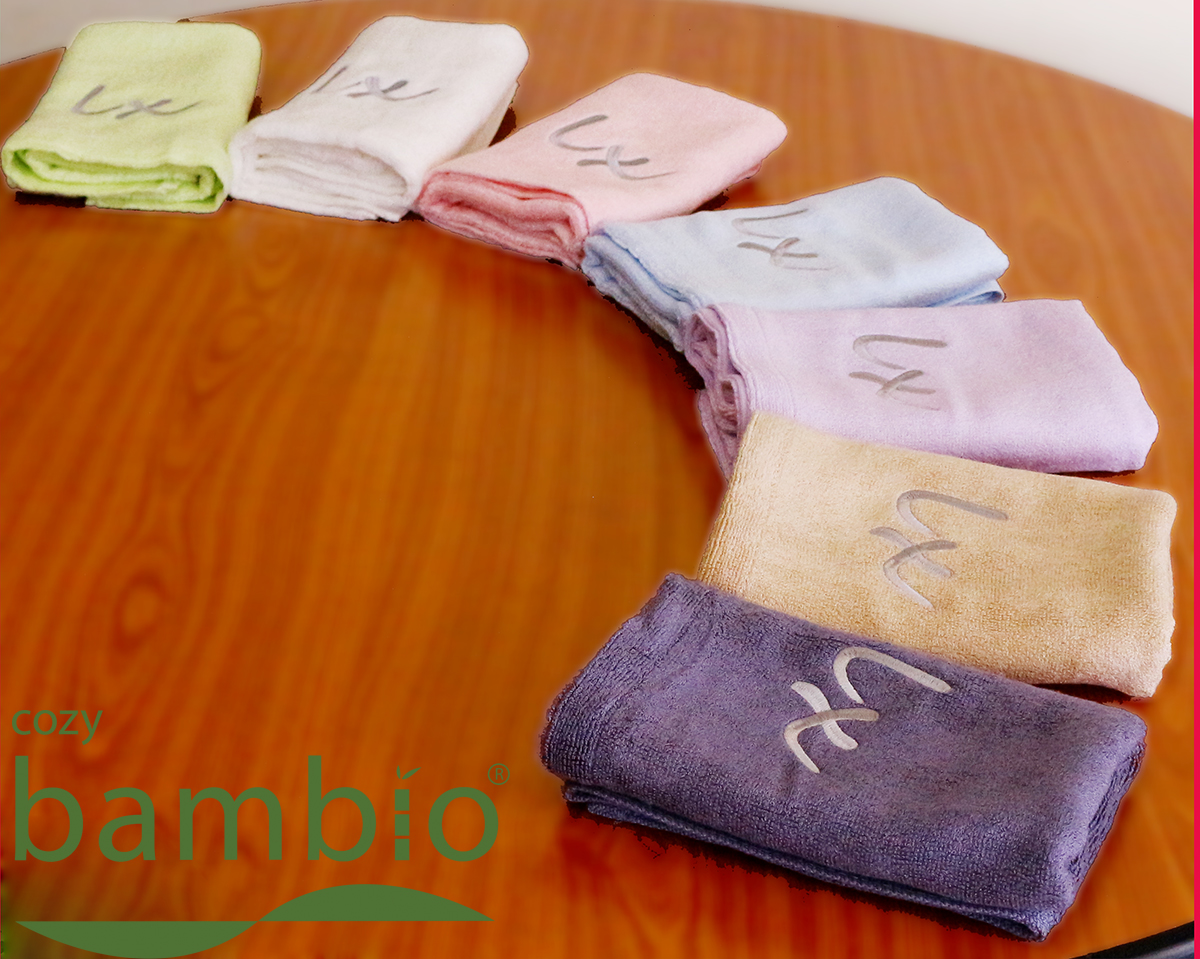 บริษัท แอล เอ็กซ์ อิเลคโทรนิคส์ จำกัด