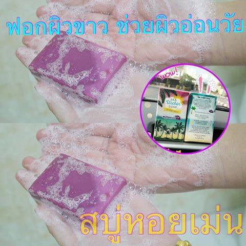 สบู่หอยเม่น (Sea Urchin Soap By Night Merry)