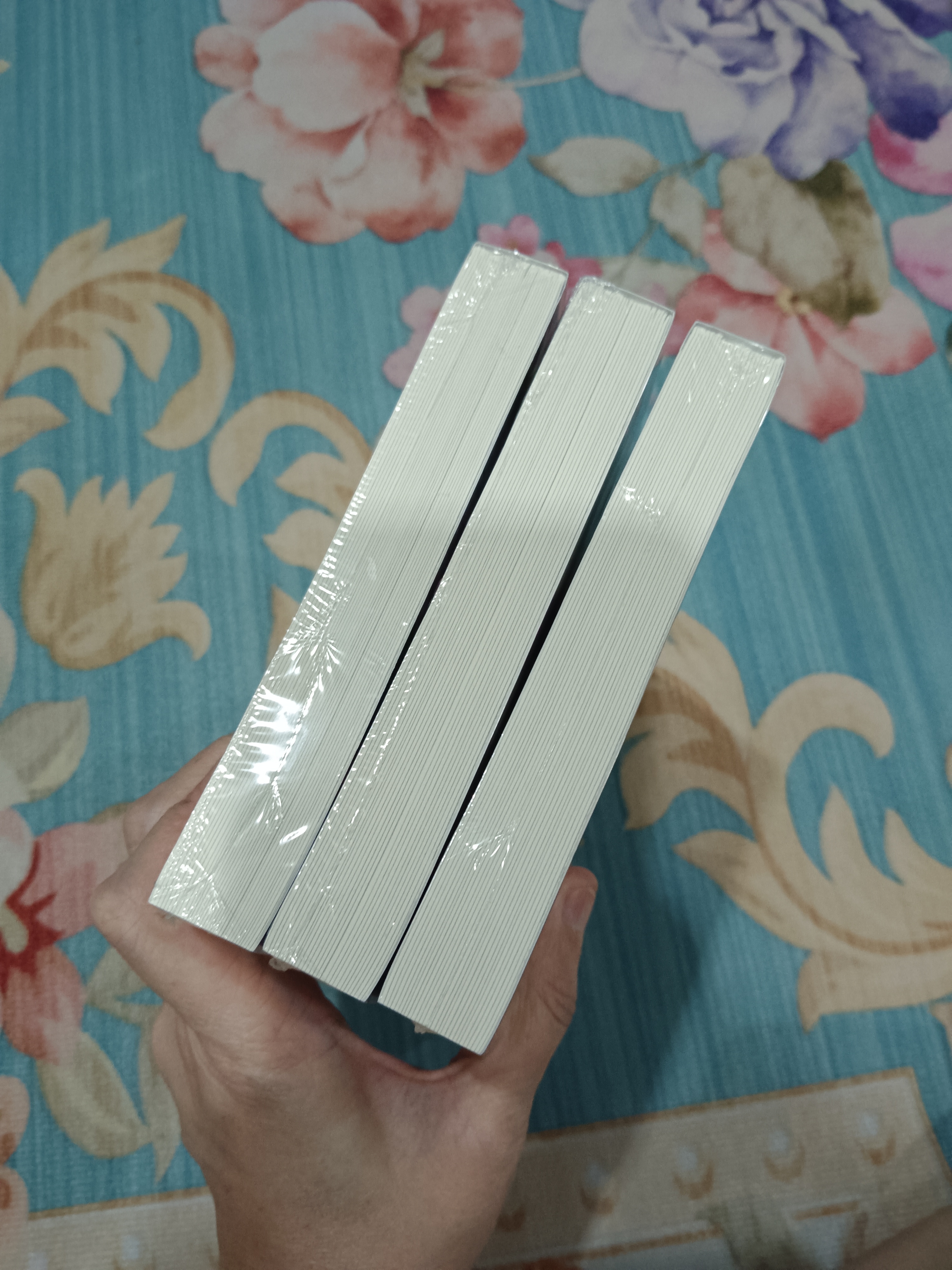 นิยายแปล ฆ่าหมาป่า 3 เล่ม รอบจอง