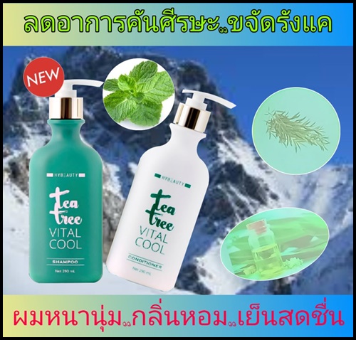 ไฮบิวตี้ ที ทรี ไวทัล คลู แชมพู & คอนดิชั่นเนอร์ Tea Tree Vital Cool Shampoo And Conditioner by Hybeauty