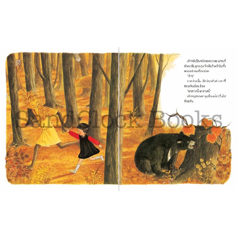 ซ่อนหาในป่าใหญ่(นิทาน)