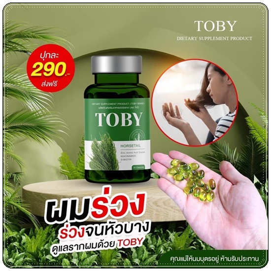 วิตามินลดผมร่วง เร่งผมยาว โทบี้ TOBY Horsetail