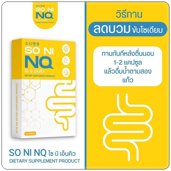 SO NI NQ โซ นิ เอ็นคิว ลดบวม
