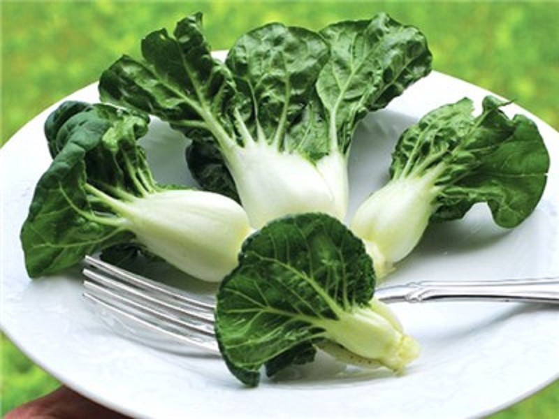 ผักกาดกวางตุ้งก้านขาว - Milky Dwarf Pak Choi