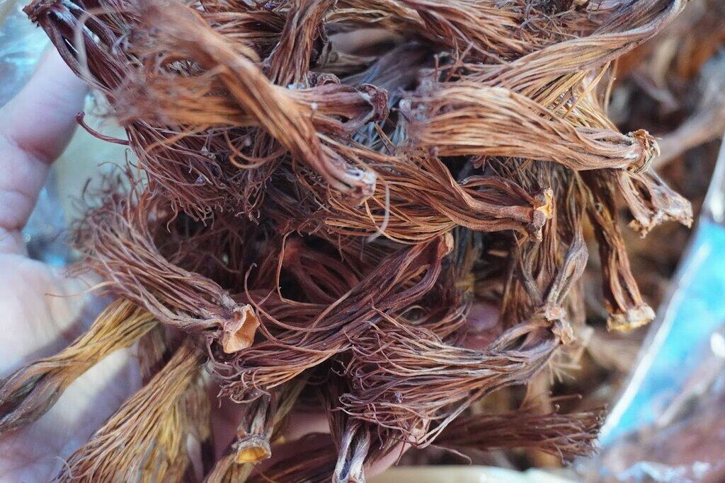 ดอกเงี้ยว ดอกงิ้ว ดอกเงี้ยวแห้ง 1 กิโลกรัม มาใหม่ ปี 2568 ดอกเงี้ยวราคาประหยัด เหมาะกับร้านอาหาร ร้านขนมจีนน้ำเงี้ยว ดอกเงี้ยวแห้ง Red cotton tree flowers dried เหมาะสำหรับทำขนมจีนน้ำเงี้ยว อาหารพื้นเมืองของทางภาคเหนือ อาหารแห้ง ของกินภาคเหนือ ของกินพื้นเ