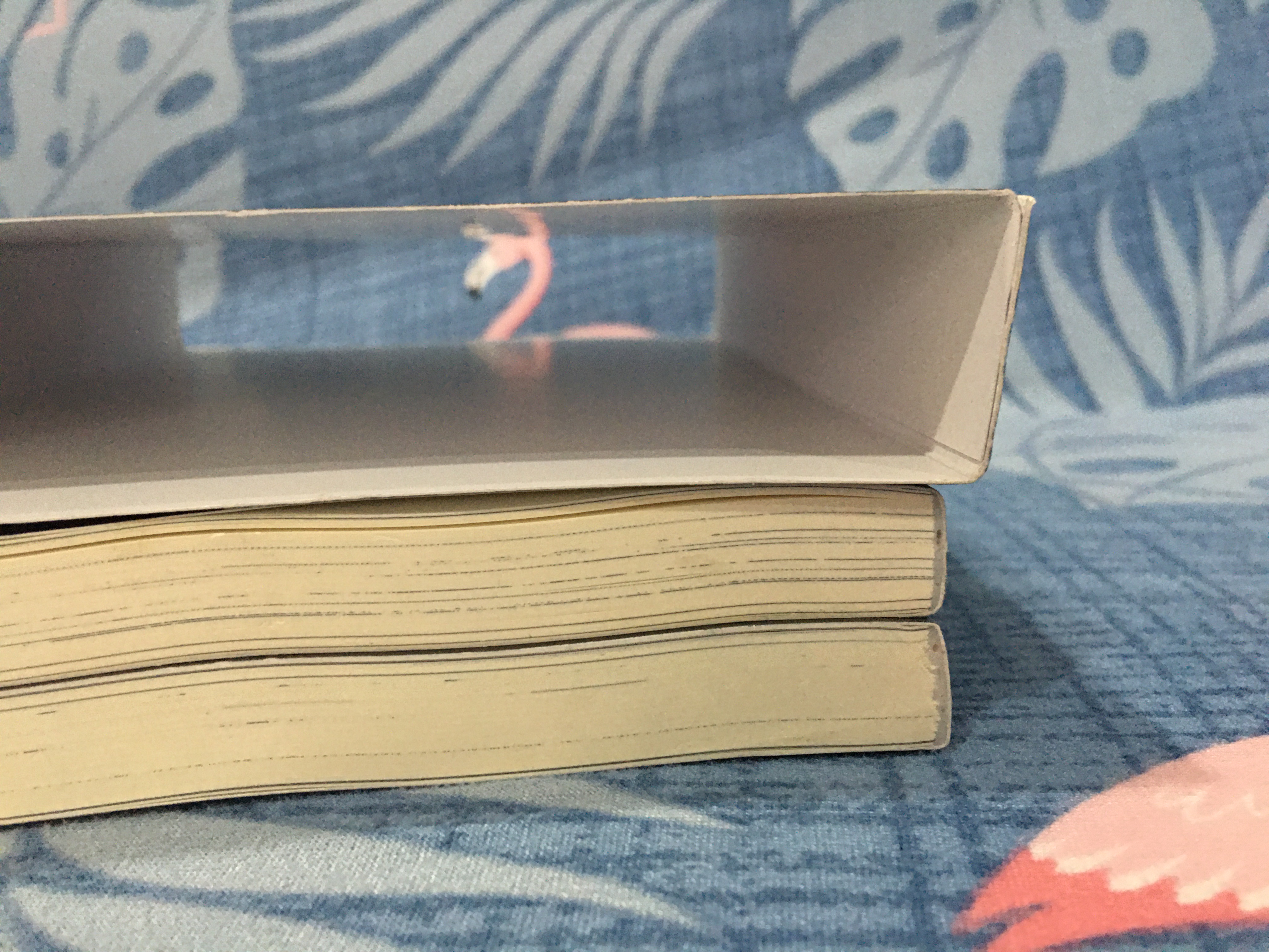 นิยายแปล ตราบสิ้นแสงตะวัน 2 เล่มจบ + ปลอกสวม
