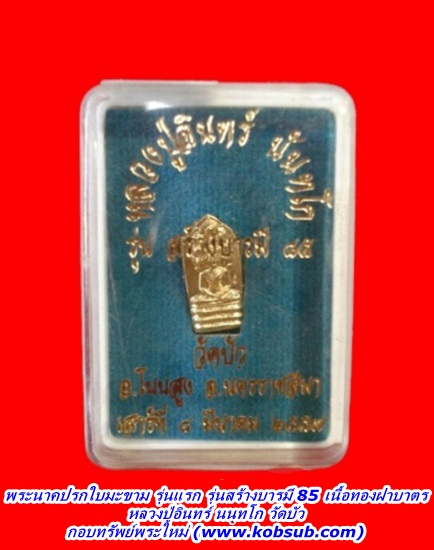 พระนาคปรกใบมะขาม รุ่นแรก รุ่นสร้างบารมี 85 เนื้อทองฝาบาตร หลวงปู่อินทร์ วัดบัว