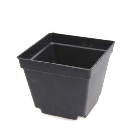 กระถางพลาสติกสี่เหลี่ยม - Square Pot 10x10 cm 7 กระถาง