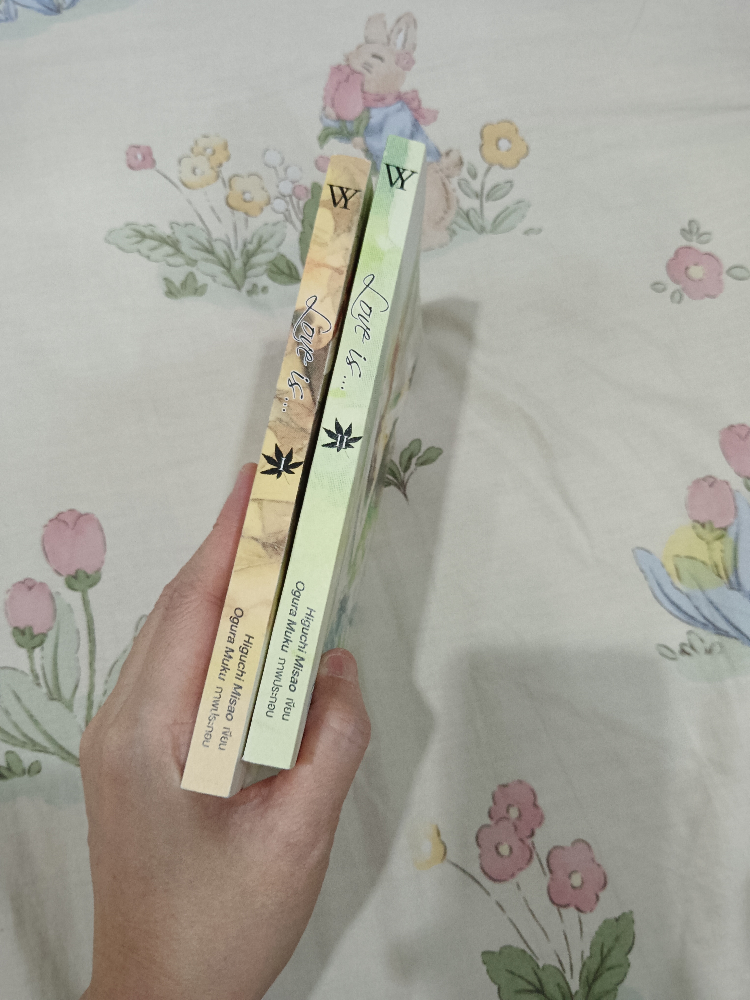 นิยายแปล ความรักนะ 2 เล่มจบ