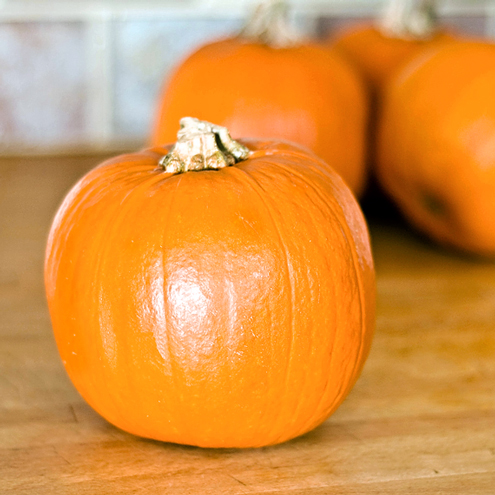 ฟักทองชูการ์พาย - Sugar Pie Pumpkin