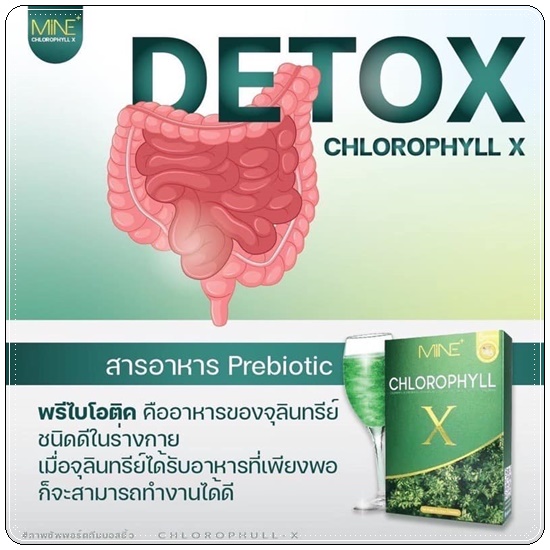 คลอโรฟิลล์ เอ็กซ์ CHLOROPHYLL X คลอโรฟิลล์มายมิ้น