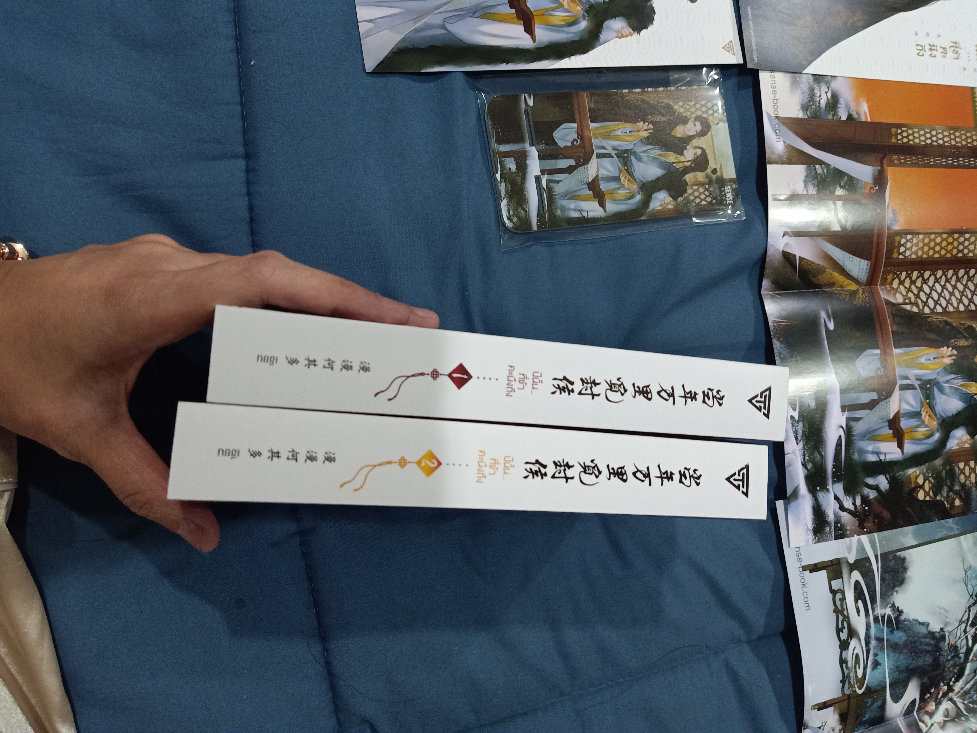 Boxset นิยายแปล ปีนั้นที่ข้าคนคงหา รอบจอง + สแตนดี้