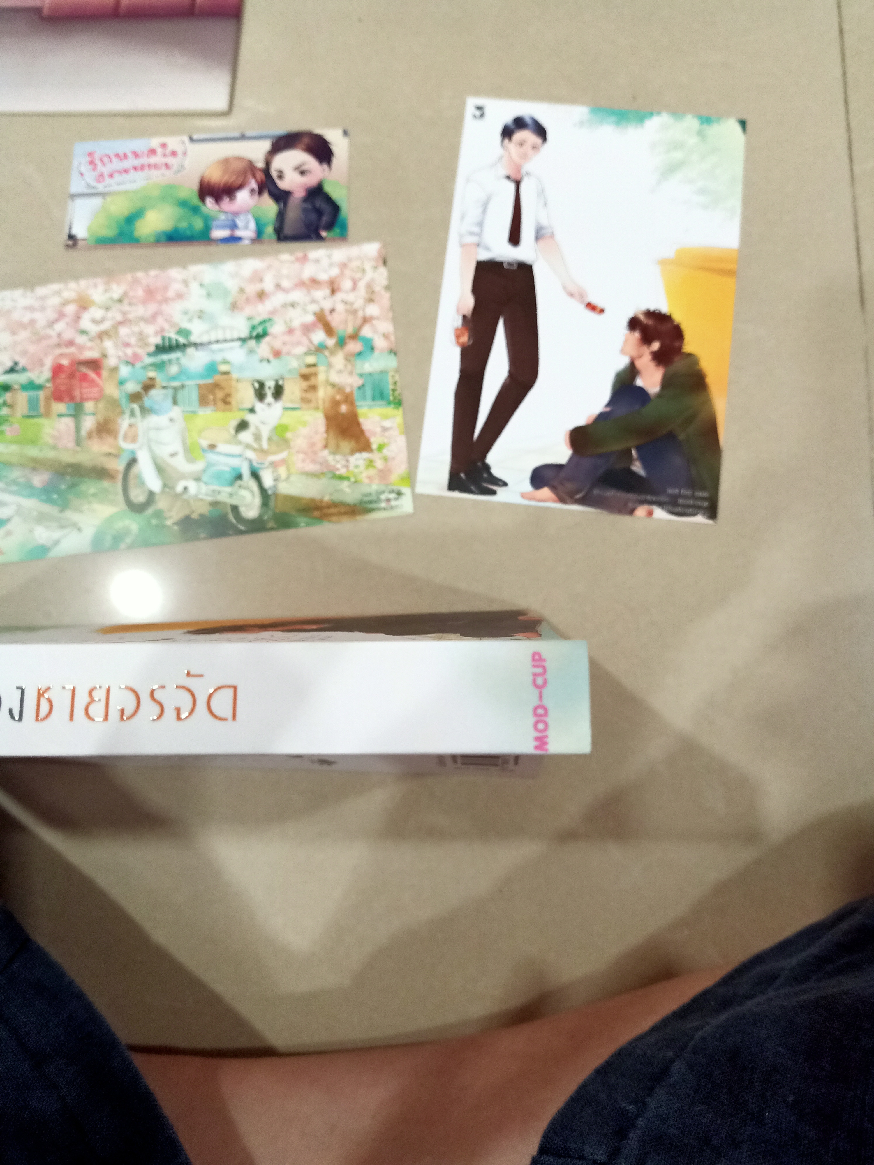 นิยาย รักเล่ห์ร่อน ของชายจรจัด + รักหมดใจพี่ชายของผม