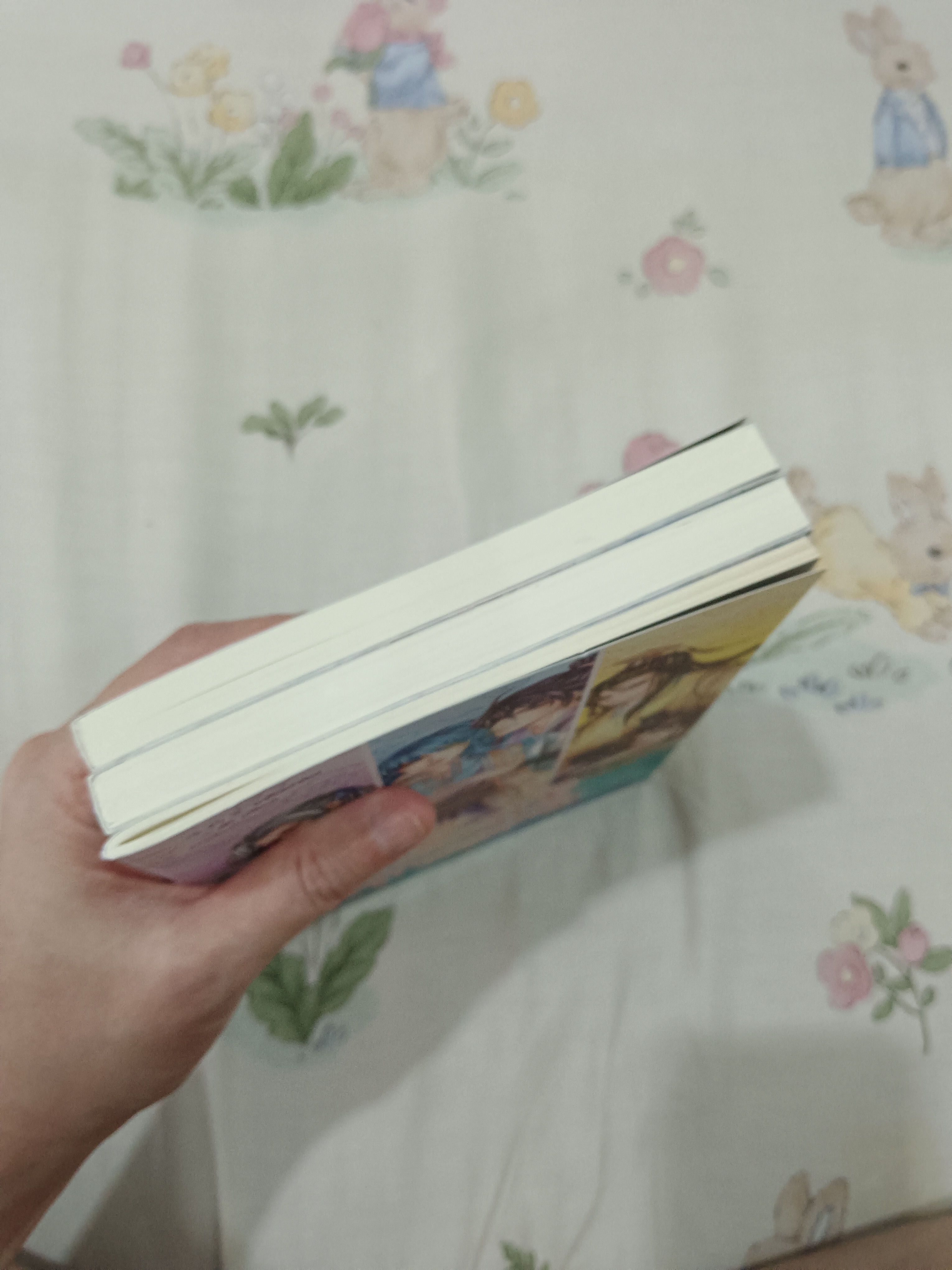 นิยายแปล ฮ่องเต้ที่แท้จริง 2 เล่มจบ + ตำหนักรักองค์จักรพรรดิ์