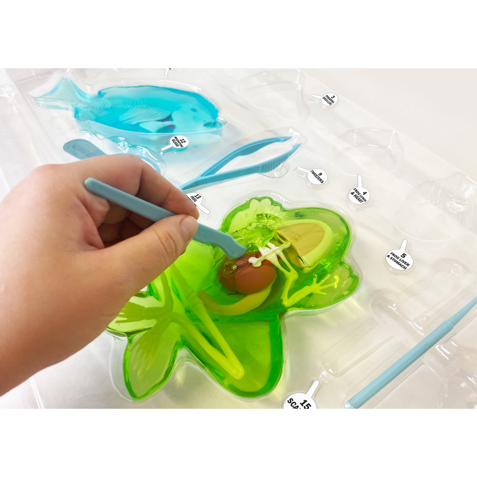 ชุดสำรวจDissect-It Mega Lab Interactive Stem ราคา 1990.- บาท