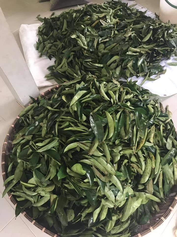 ชาทุเรียนเทศ 15 ซองชา สินค้าคุณภาพ ราคาไม่แพง ชาทุเรียนเทศอบแห้ง ทุเรียนเทศ Organic tea สินค้าออแกร์นิค ผลิตภัณฑ์คุณภาพ รับรองโดยกรมวิชาการเกษตร Graviola soursop tea ชาทุเรียนเทศเหมาะกับผู้มีปัญหาเรื่องมะเร็ง กลิ่นหอม สดชื่น ดื่มง่าย