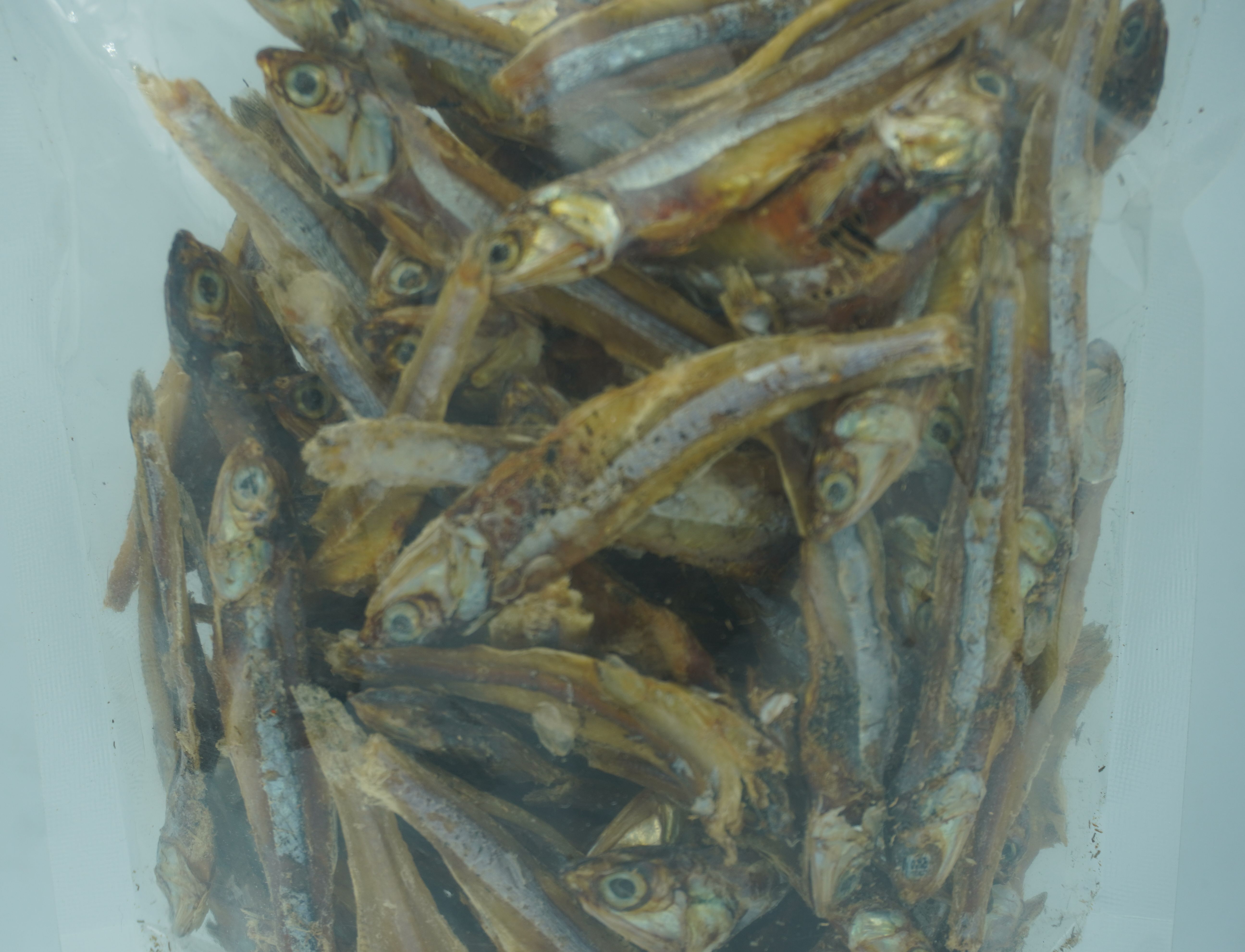 ปลากะตัก ปลากะตักแห้ง เนื้อหนา รสเข้มข้น ตากแห้งธรรมชาติ 🌊 Quality Dried Snakehead Fish 🌊 ✨ 100% Natural Sun-Dried Snakehead Fish 🐟✨ #ปลากะตักแห้ง #คุณภาพดี ทอดกรอบ ต้มแกง ผัดพริก อร่อยทุกเมนู!