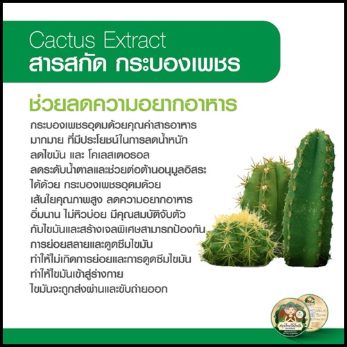 สมุนไพรรีดไขมัน ย่าจันทร์ แพคเกจใหม่