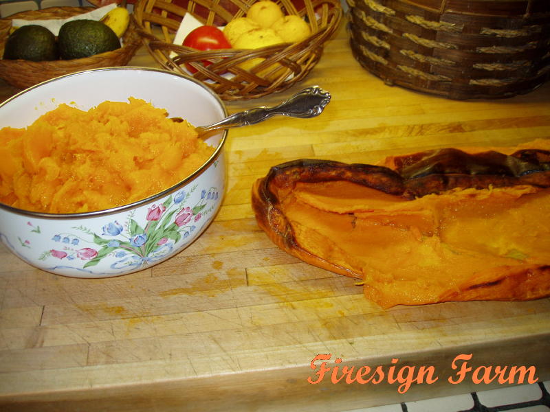 ฟักทองกล้วยสีชมพู - Pink Banana Squash