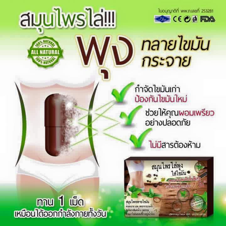 สมุนไพรไล่พุง ไล่ไขมัน โปรโมชั่น พิเศษ