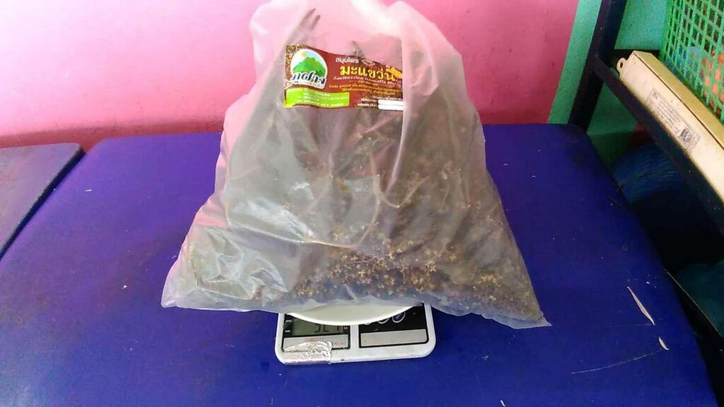 มะแข่น มะแขว่น 1kg (1กิโล)🔥 มะแขว่นคนเหนือ ลูกระมาศ หมากมาศ พริกไทยเสฉวน เครื่องเทศลาบ ลาบหมู หลู้ แกงฮังเล น้ำพริกอ่อง ไส้อั่ว เครื่องเทศเมืองเหนือ อาหารพื้นเมือง สมุนไพรไทย ของดีเชียงใหม่ ราคาส่ง | Zanthoxylum 1kg Sichuan Pepper Thai Spice Larb