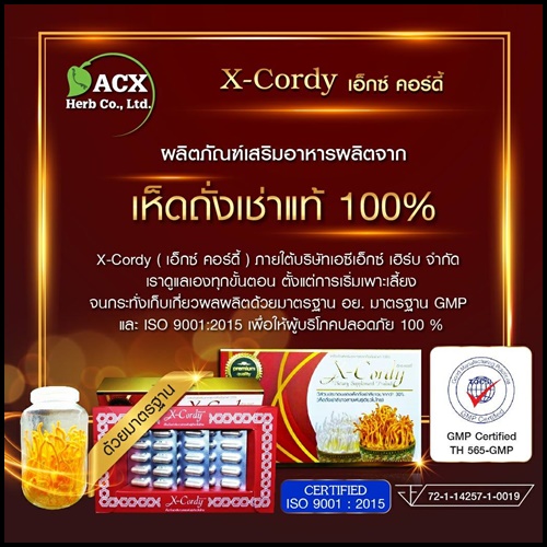 เอ็กซ์ คอร์ดี้ X-Cordy ผลิตภัณฑ์อาหารเสริมจาก ถั่งเช่าแท้ 100%
