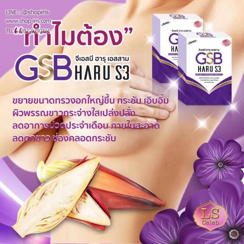 จีเอสบี ฮารุ เอสสาม GSB Haru S3