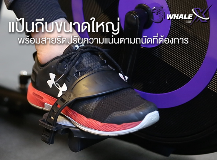 จักรยานออกกำลังกายเอนปั่น รุ่น WHALE-XR