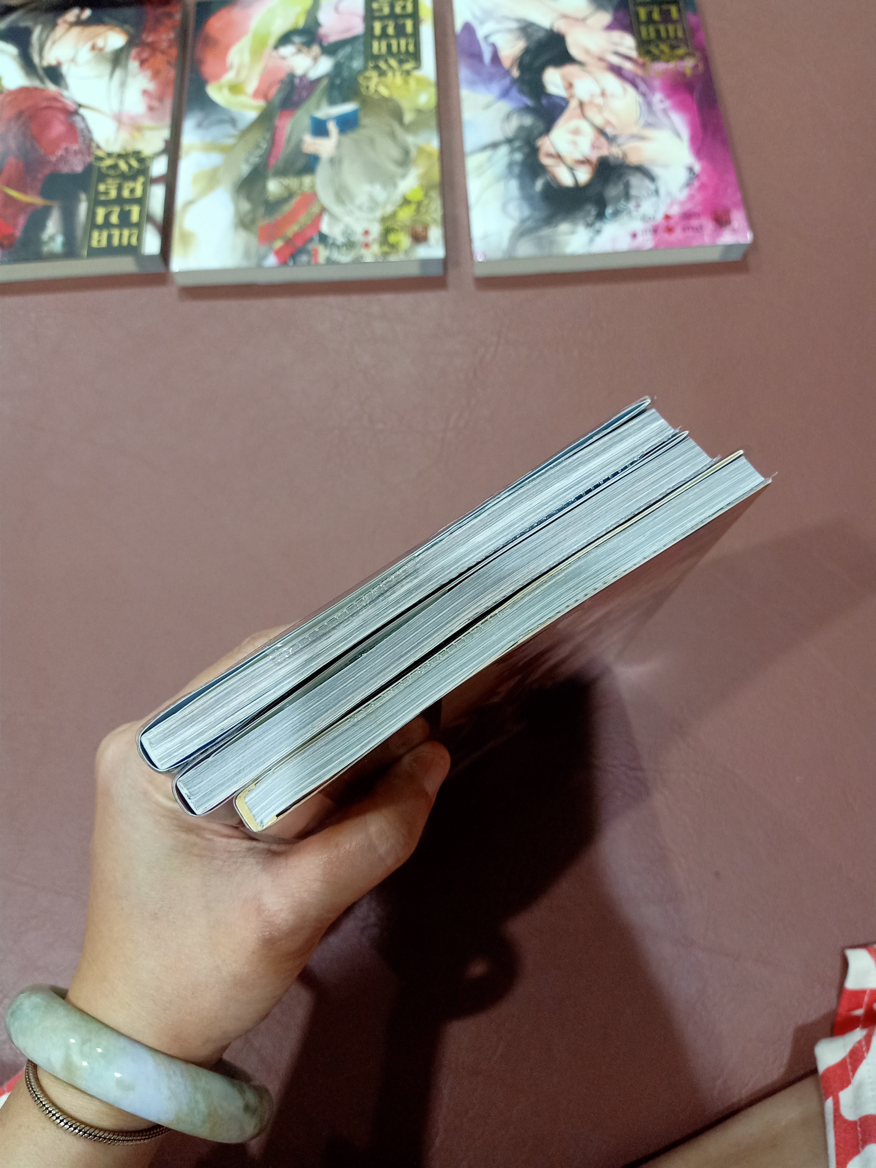 Boxset นิยายแปล รัชทายาท 5 เล่ม รอบจอง ฉบับรีปิ้น + การ์ตูน 3 เล่ม + เล่มพิเศษ + โดจิน
