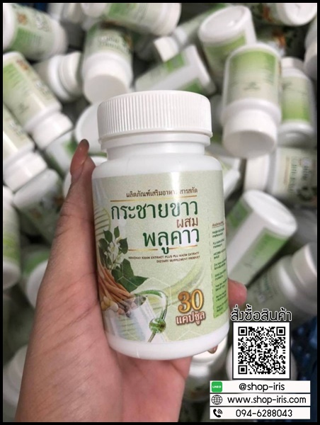 กระชายขาวผสมพลูคาว