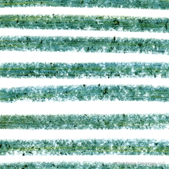 SIGMA :: Extended Wear Eye Liner Kit - Cool อายไลเนอร์ชุด 3 ด้าม พร้อมแปรง E30 โทนเท่ มั่น