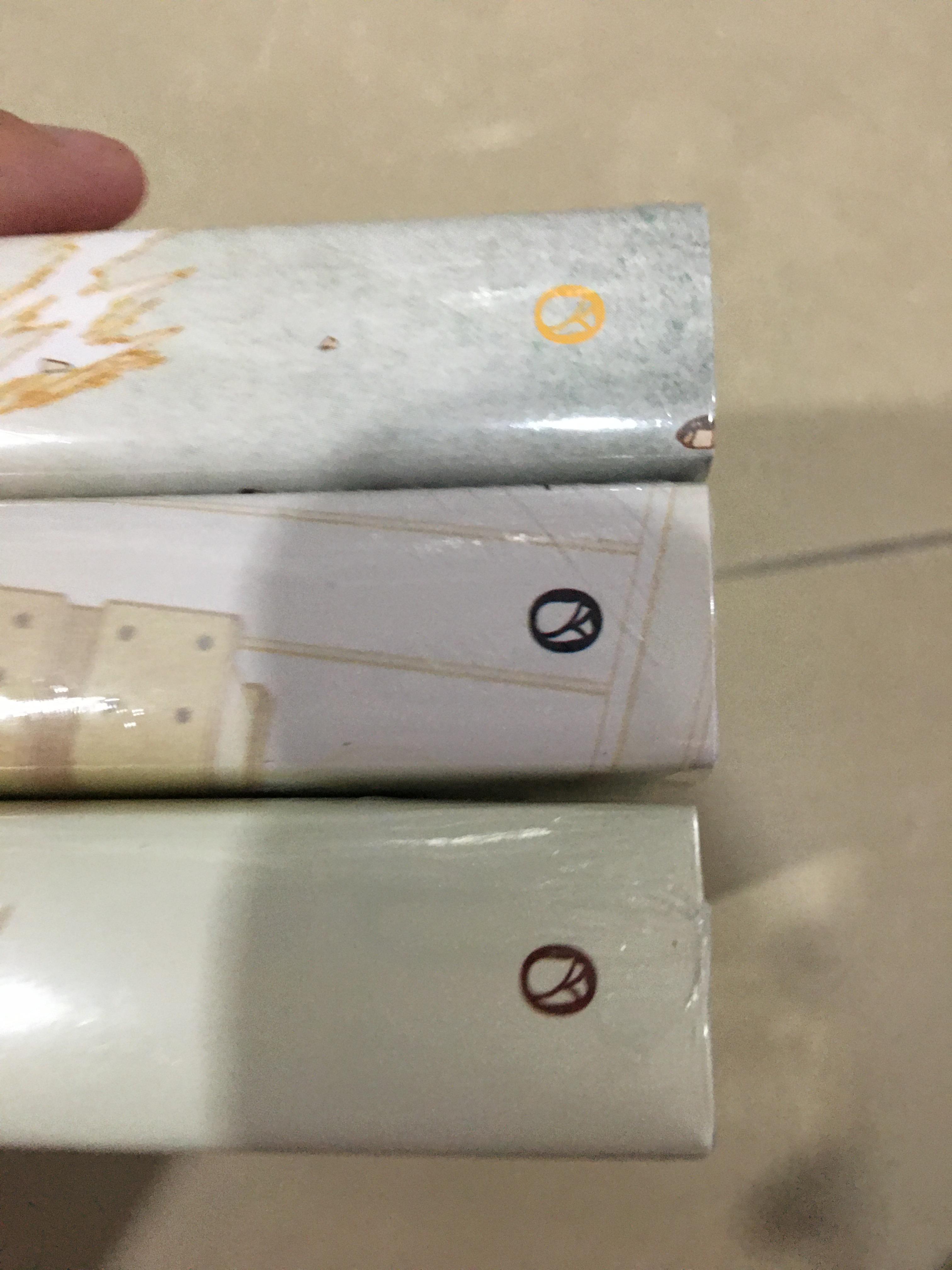 นิยายแปล โอตาคุวันสิ้นโลก 3 เล่มยังไม่จบ