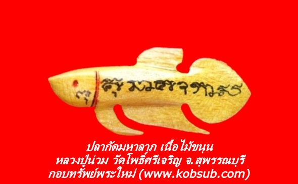ปลากัดเรียกลาภ เนื้อไม้ขนุน หลวงปู่น่วม วัดโพธิ์ศรีเจริญ