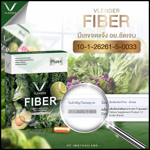 ดีท็อกซ์ผัก Vlender Fiber